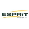 Esprit Consulting