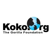 The Gorilla Foundation The Gorilla Foundation