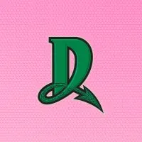 Dayton Dragons Professional Baseball