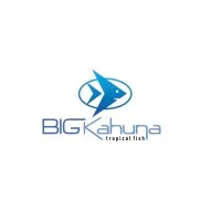 Big Kahuna Tropical Fish Big Kahuna Tropical Fish