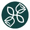 verbenaflores.com verbenaflores.com