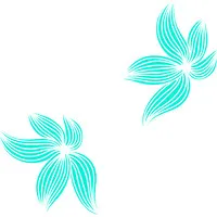 Sayde Mark Designs