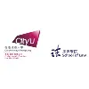 City University of Hong Kong Law Review