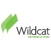 Wildcat Wildcat