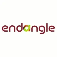 Endangle Engineering Solution