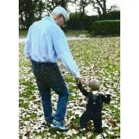 Advising Automobile Dealers LLC Advising Automobile Dealers LLC