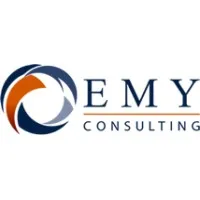 EMY Consulting LLC