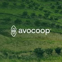 Avocoop SL