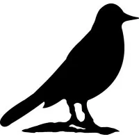 Blackbird Professional Services, Inc.