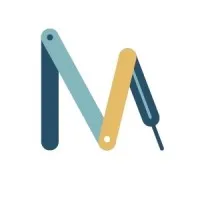 Multi-Scale Medical Robotics Center Ltd