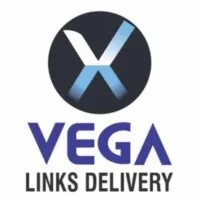 VEGA LINKS DELIVERY SERVICES LLC VEGA LINKS DELIVERY SERVICES LLC
