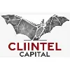 Cliintel Capital Cliintel Capital