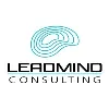 LeadMind Consulting LeadMind Consulting