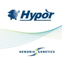 Hypor, swine brand of Hendrix Genetics Swine