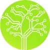 Discover Coding