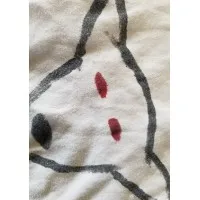 Wolf Consulting, Inc.