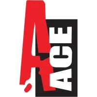 ACE Plastic Industry LLC