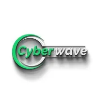 CYBER WAVE LLC