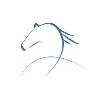 Wiig-Codr & Associates LLC