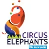 Circus Elephants Video Solutions Pvt. Ltd. Circus Elephants Video Solutions Pvt. Ltd.