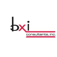 BXI Consultants