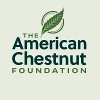 The American Chestnut Foundation The American Chestnut Foundation