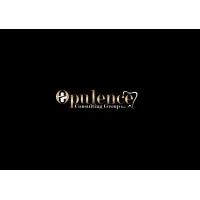Opulence Consulting Group