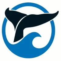 SpringTide Whale Watching & Eco Tours SpringTide Whale Watching & Eco Tours