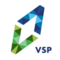 Visionary Search Partners (VSP) Visionary Search Partners (VSP)