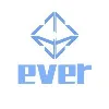 everVision everVision