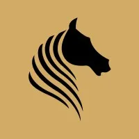 LEAD MILLION - Information Technology Company