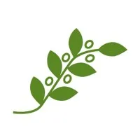 Wendt Center for Loss and Healing