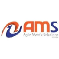 Agile Matrix Solutions