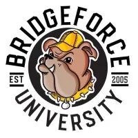 BridgeForce Financial Inc.