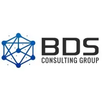 BDS Consulting, LLC