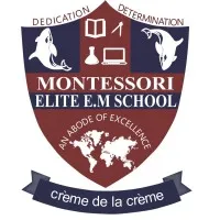 Montessori Elite E.M. School