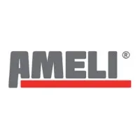 Ameli Consulting