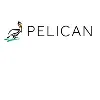 Pelican Wireless Systems Pelican Wireless Systems