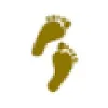 First Step Academy First Step Academy