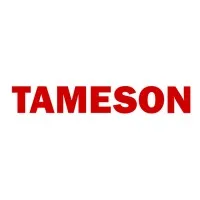 Tameson email format
