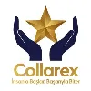 Collarex Yönetim ve Organizasyonel Gelişim Danışmanlık Hizmetleri