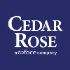 Cedar Rose