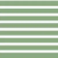 Committee on Capital Markets Regulation