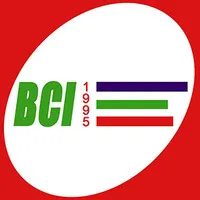 BCI ENGINEERING INSTITUTE