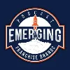 Emerging Franchise Brands