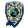 Special Task Force Protection Agency Special Task Force Protection Agency