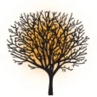 Springtree Media Group