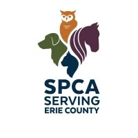 SPCA Serving Erie County, NY | Lipsey Veterinary Clinic | 300 Harlem Rd. | West Seneca, NY 14224|