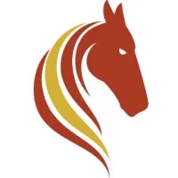 Pasofino Gold Limited