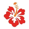 Hibiscus Business Solutions Hibiscus Business Solutions